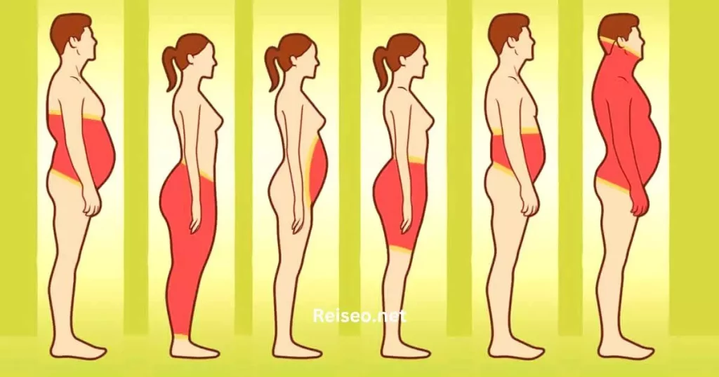 Was die Lage Des Körperfetts über Sie verrät - und was Sie dagegen tun können